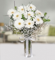Beyaz Gerbera Vazosu 9 adet beyaz gerbera, cipsofilya ve yeşilliklerle cam vazoda hazırlanmıştır.