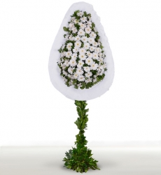 Beyaz gerbera ile hazırlanmış tek katlı açılış ve düğün çelenkleri.