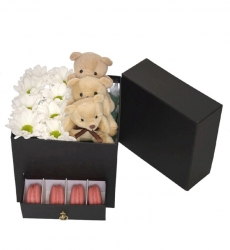 White Daisies, Teddy Bear & Macarons in a Square Heart Box”